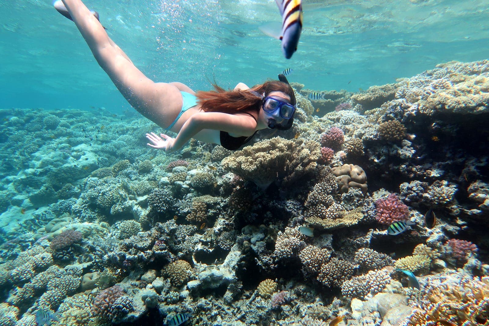 Meilleures excursions snorkeling à Hurghada 2025 : Découvrez le monde sous-marin incroyable de la Mer Rouge
