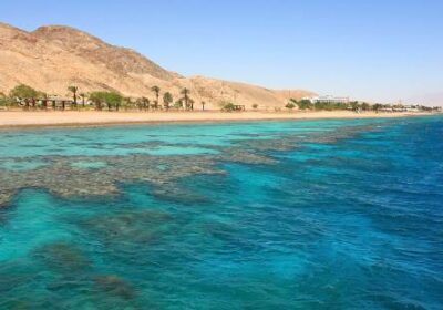 Schnorcheln im Roten Meer: Entdecke die bunte Unterwasserwelt Ägyptens