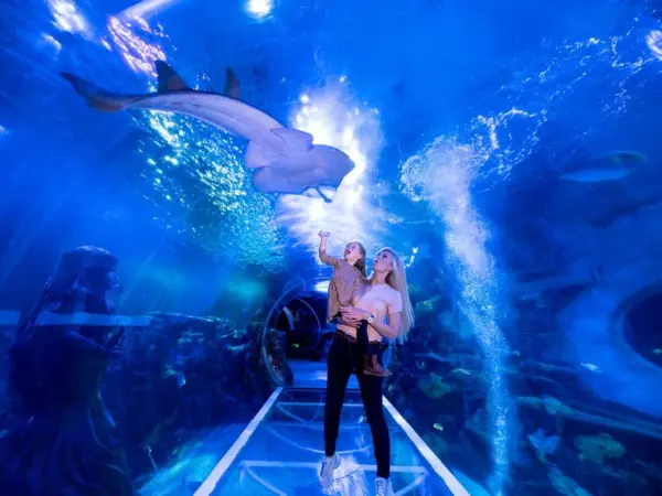 🌊Eintrittskarte zum Hurghada Grand Aquarium