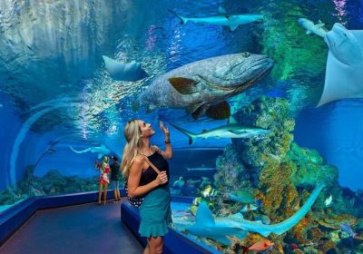 Hurghada Grand Aquarium Eintrittskarte mit Transfer