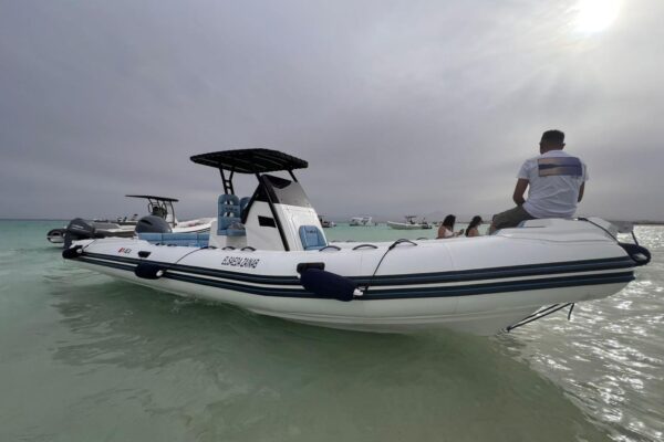 🌊 Privater Speedboot-Ausflug in Hurghada – 🐬 Delfine hautnah erleben, 🤿 Schnorcheln & 🏝 Trauminsel genießen | 🌟 Top-Erlebnis Rotes Meer