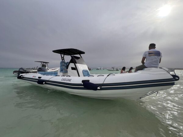 🌊 Privater Speedboot-Ausflug in Hurghada – 🐬 Delfine hautnah erleben, 🤿 Schnorcheln & 🏝 Trauminsel genießen | 🌟 Top-Erlebnis Rotes Meer