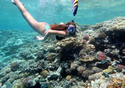 Die besten Schnorchel-Ausflüge in Hurghada 2025: Die faszinierende Unterwasserwelt des Roten Meeres entdecken